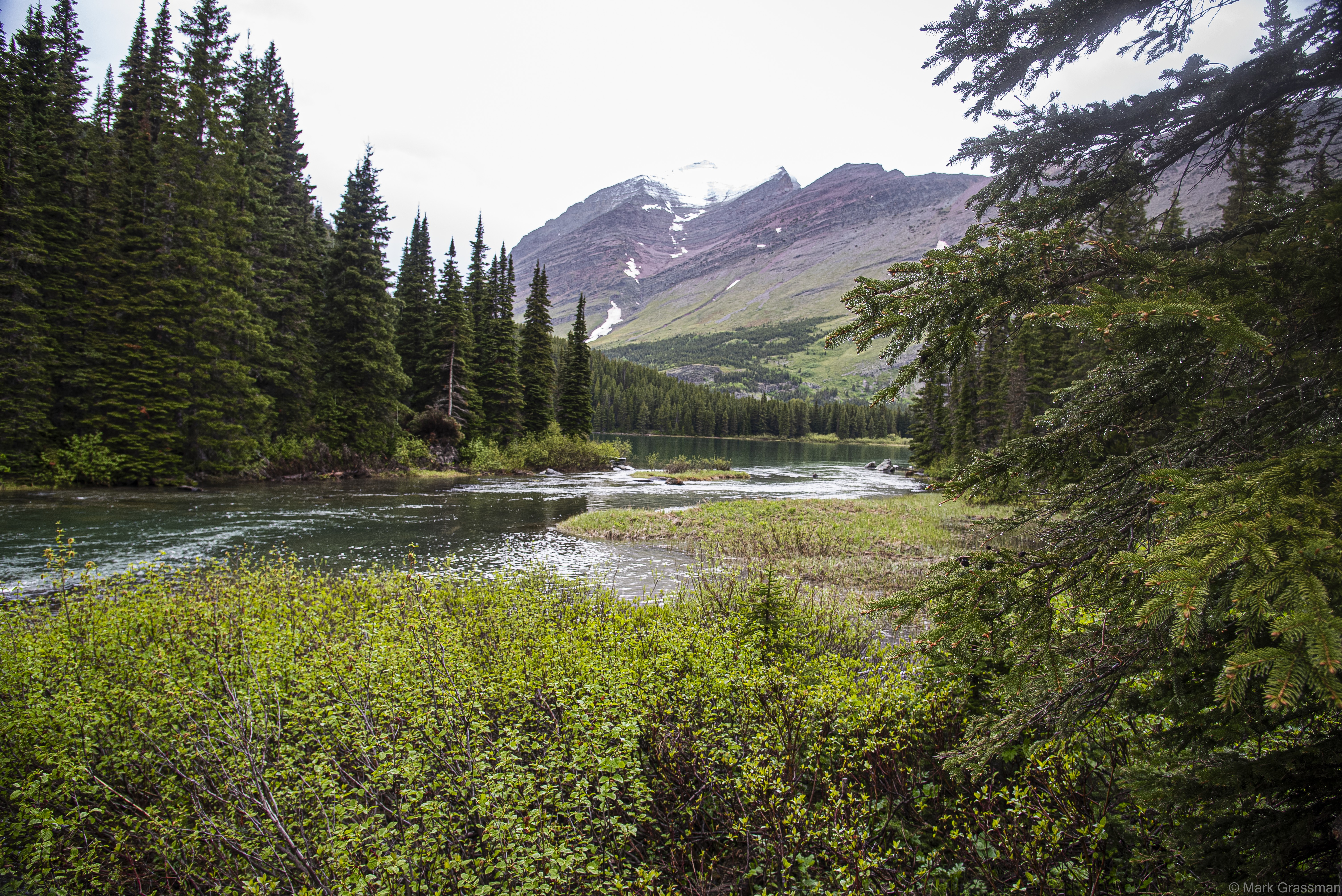 Glacier NP Mountain Stream